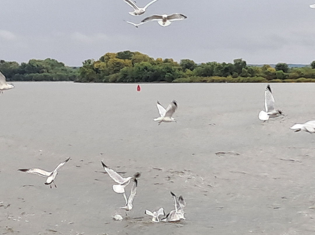 Riverboat Twilight-Le Claire必去景点