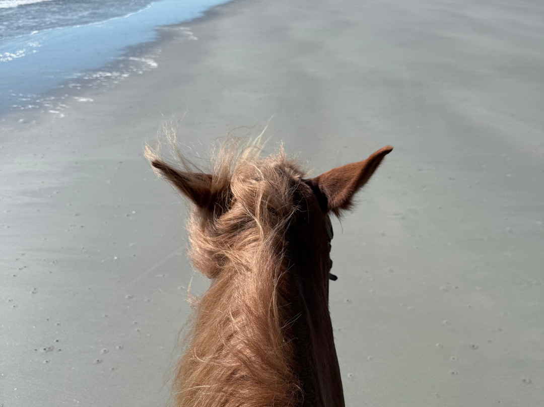 The Stables at Frederica,-圣西蒙斯岛必去景点