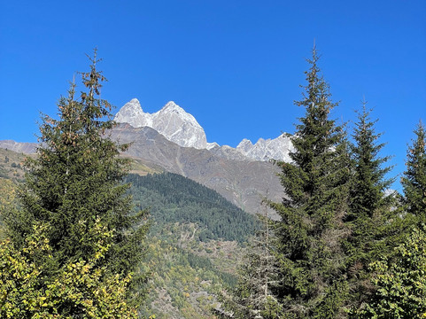 Living Roots Travel-第比利斯必去景点