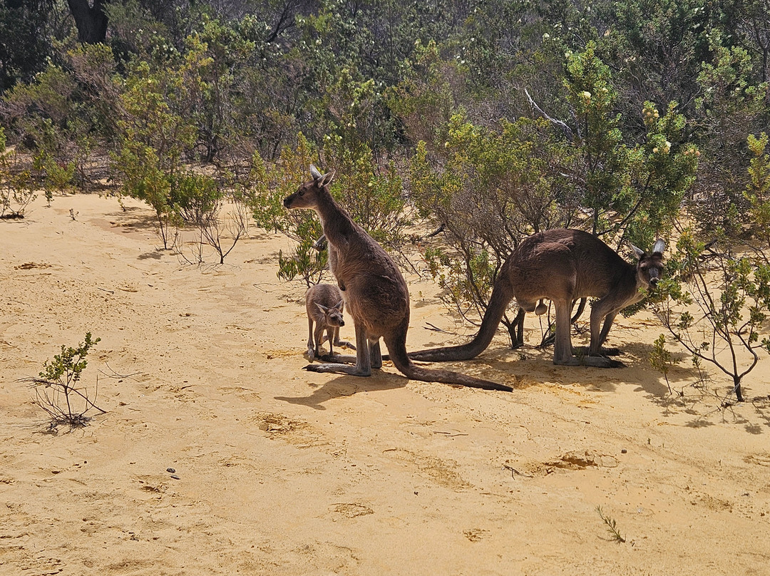 Perth Short Stay Tours