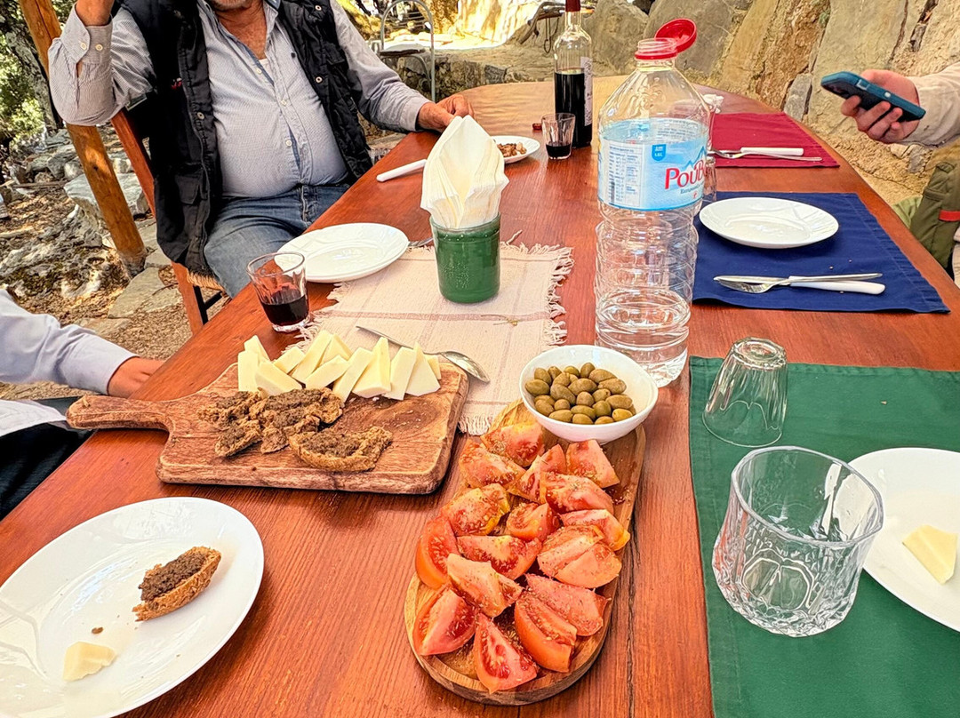 Truffle Hunter Rouvas Crete-伊拉克利翁必去景点