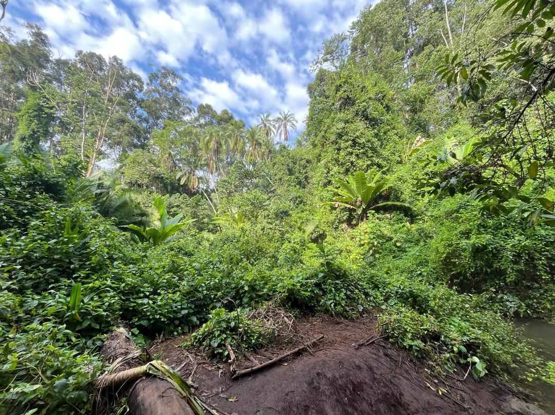 Amabere Caves-Fort Portal必去景点