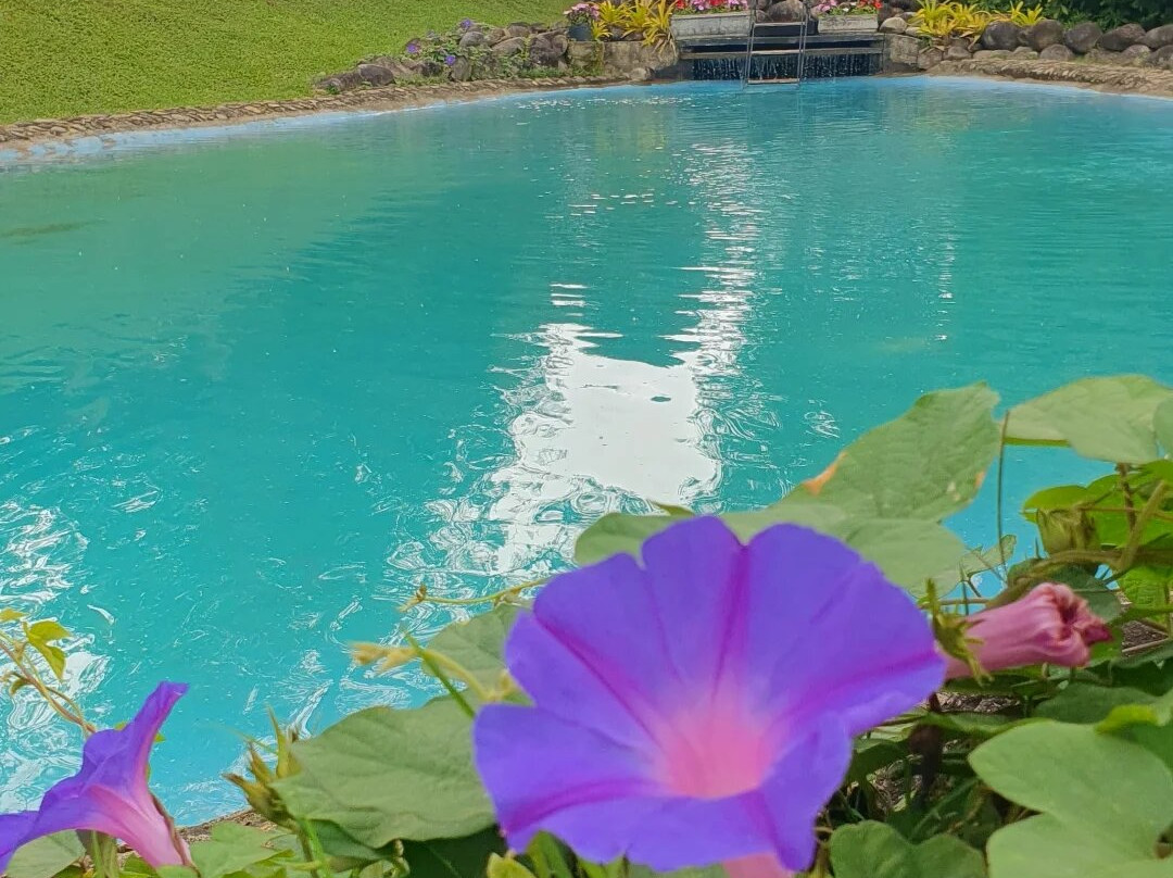 Chales Do Cachoeirao