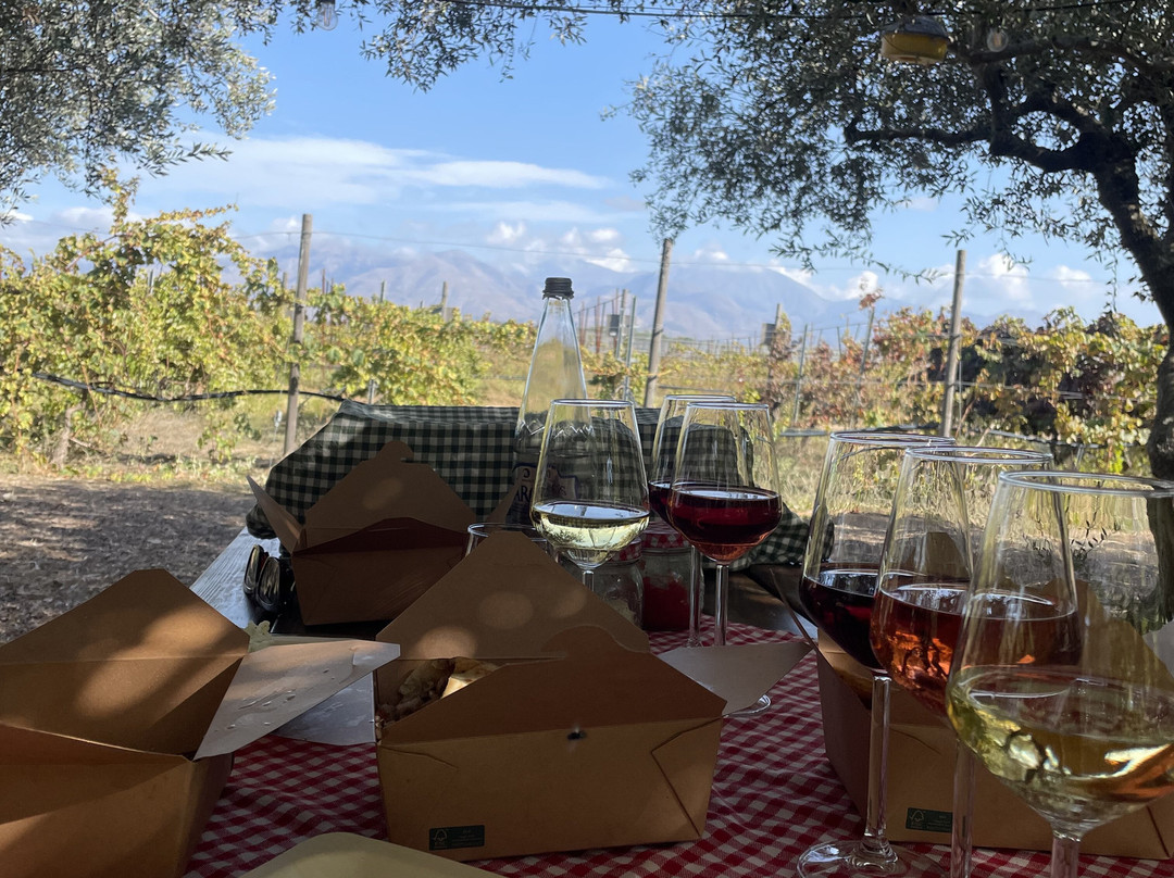 Lyrarakis Winery-伊拉克利翁必去景点