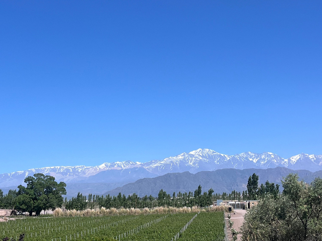 Bodega Cruzat. Bubbles Experience-路冉得库约必去景点