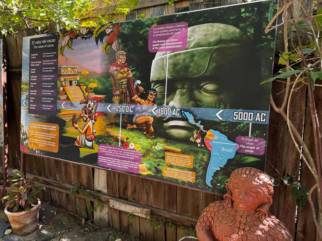 Planeta Cacao-Bahia de Banderas Municipality必去景点