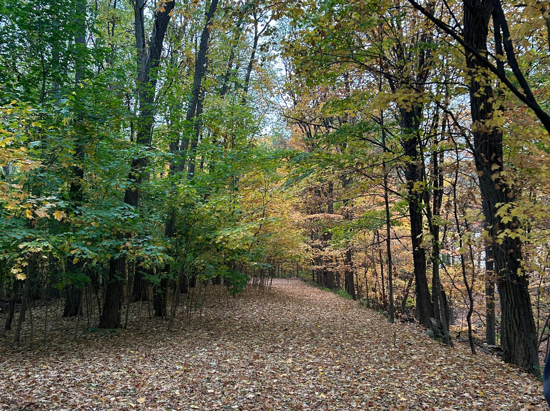 Los Gatos Bed & Breakfast主图