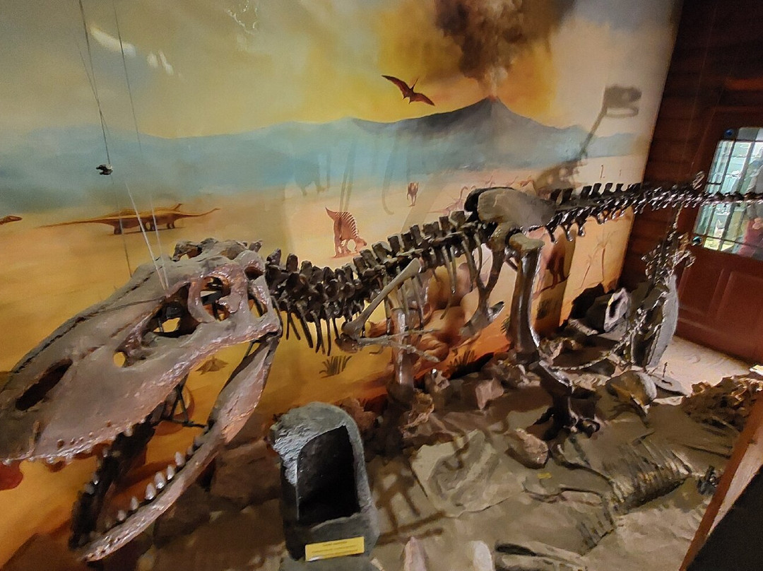 Mineralogical Museum-斯克拉斯卡波伦巴必去景点