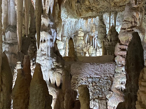 Evasion Authentic-马洛卡帕尔马必去景点