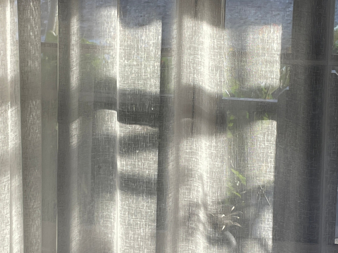 The Rising Sun Hotel主图