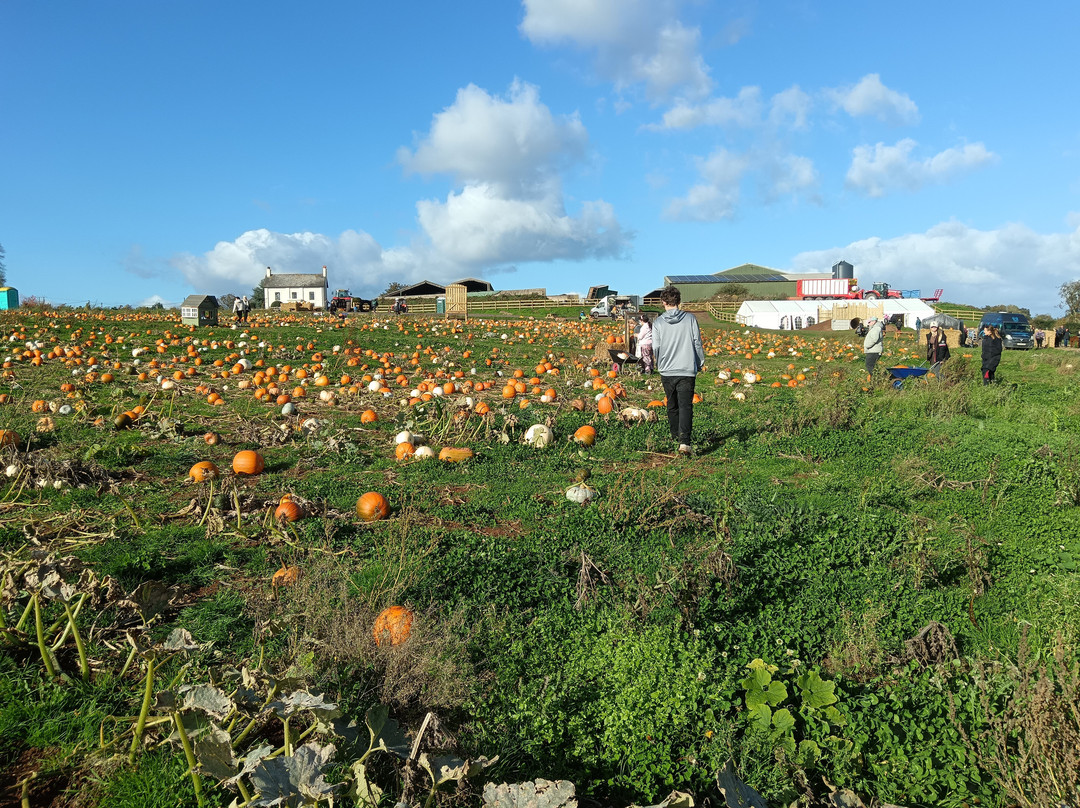 Tunstall Farm Park-Woodseaves必去景点