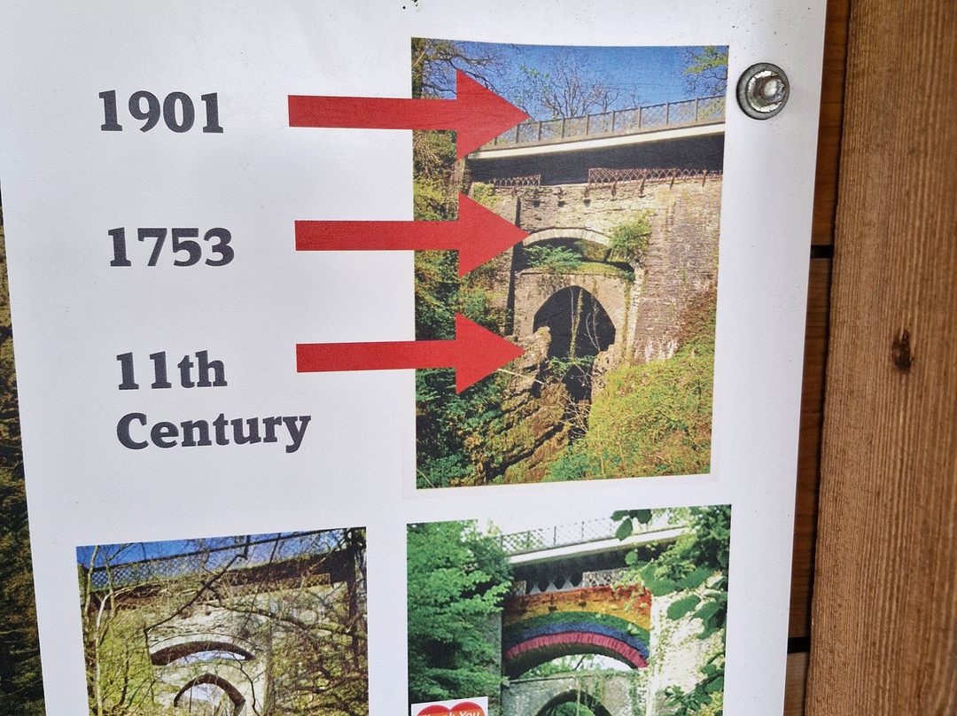 Devil's Bridge Waterfalls-Devil's Bridge (Pontarfynach)必去景点