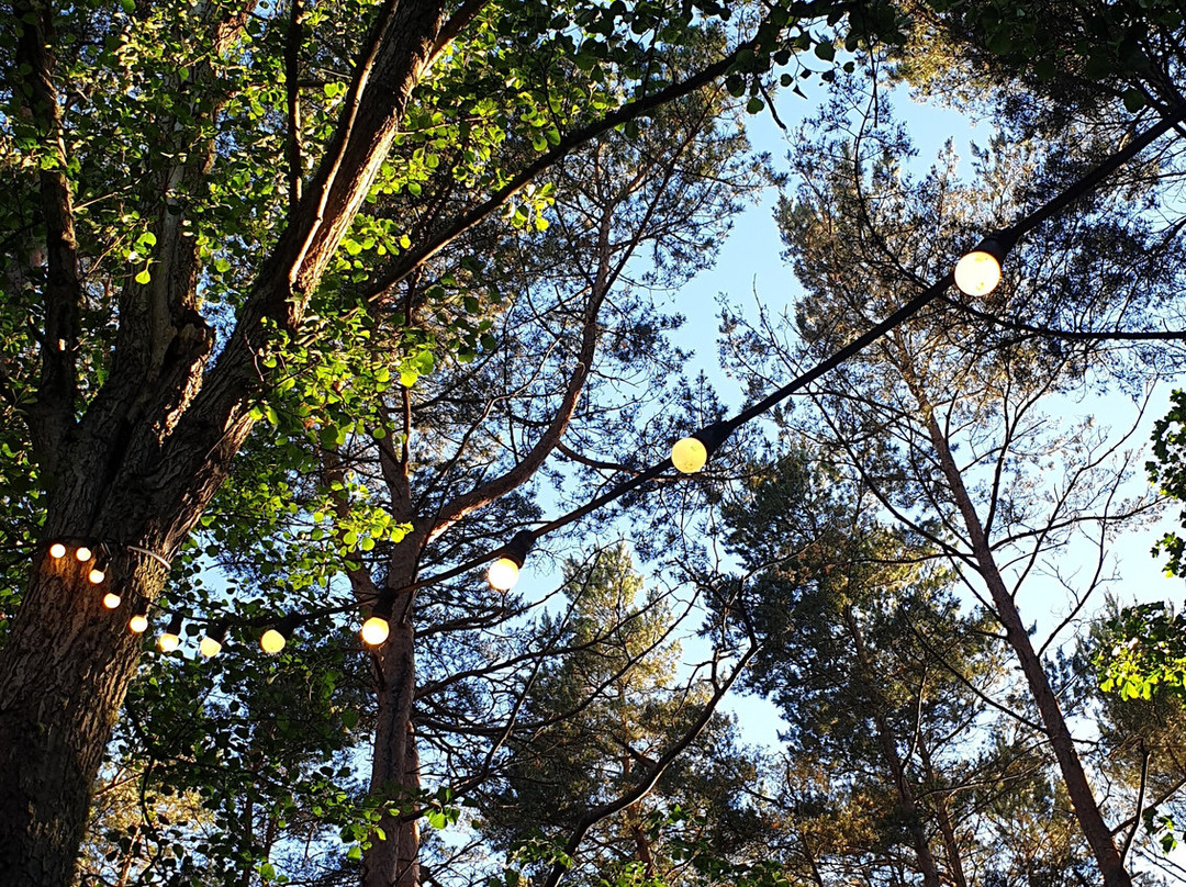 Birute Park-帕兰加必去景点