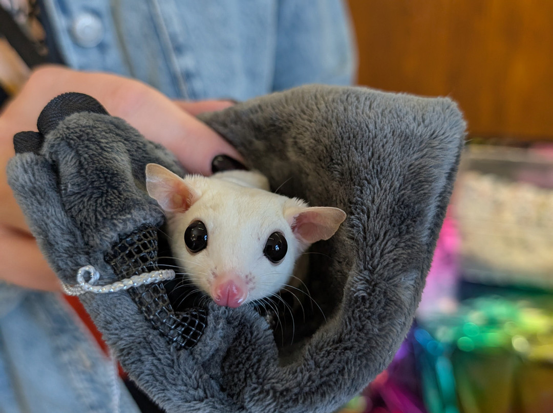 Infinity Acres Petting Ranch-Ridgeway必去景点