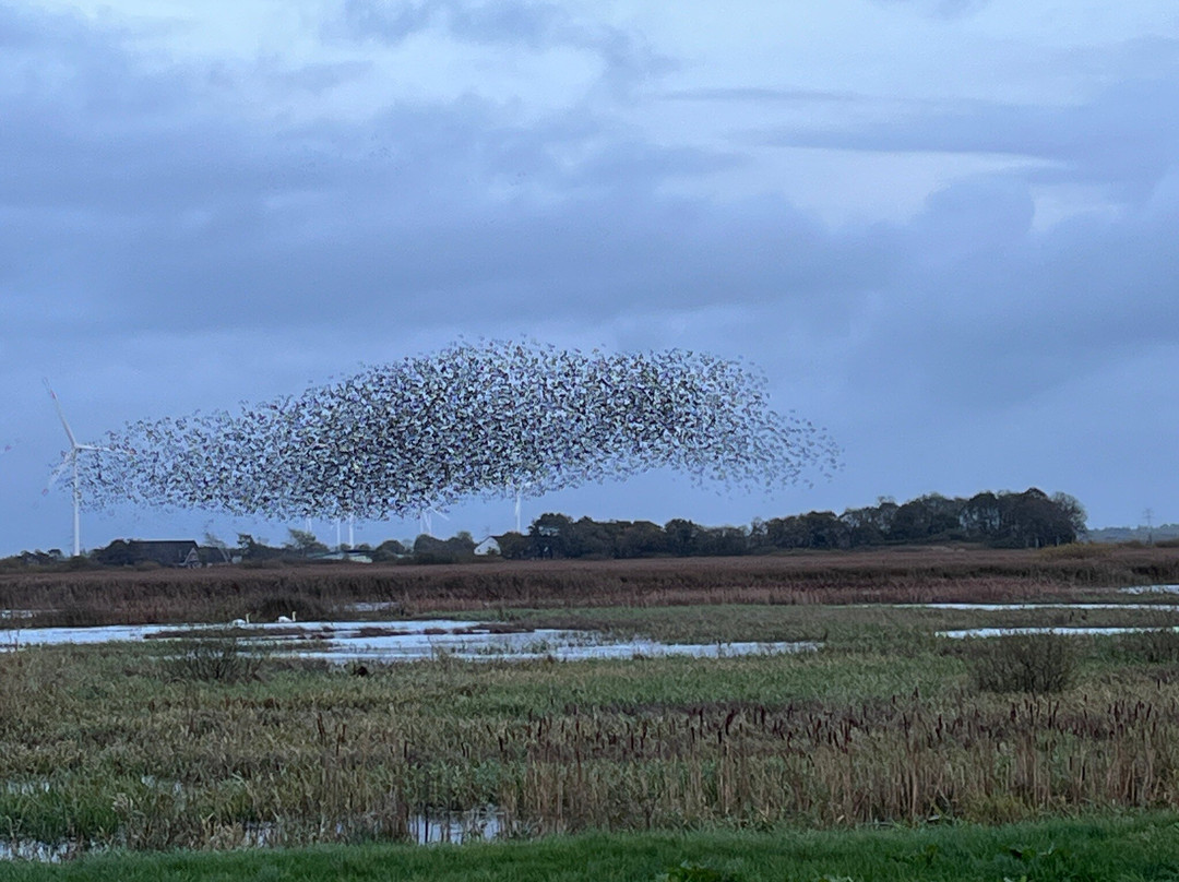 Sort Safari-滕德必去景点