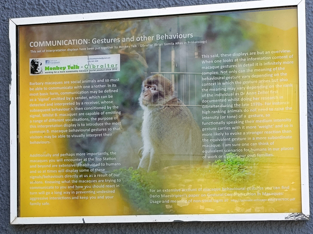 Gibraltar Upper Rock Nature Reserve-直布罗陀必去景点