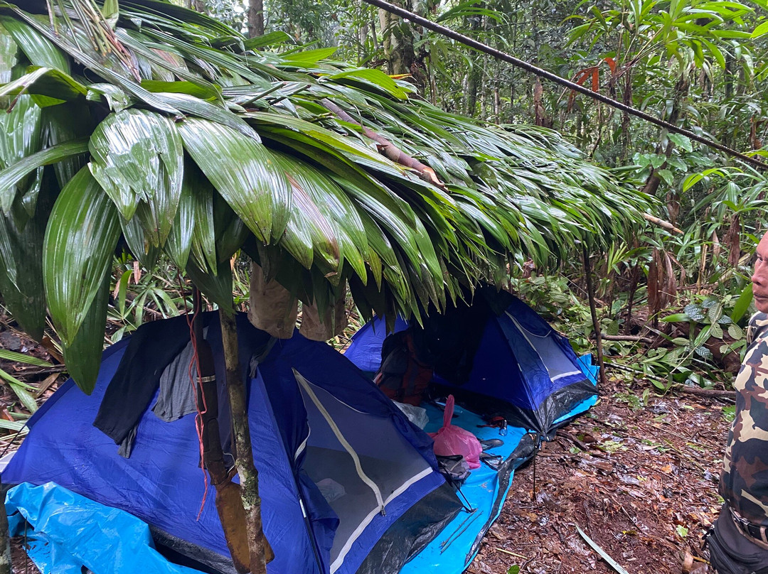 Amazon Explorer-伊基托斯必去景点