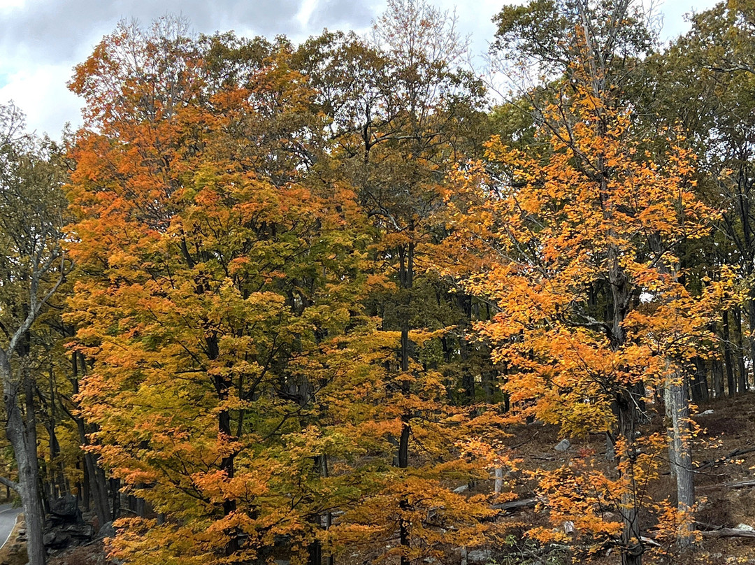 Harriman State Park-Bear Mountain必去景点