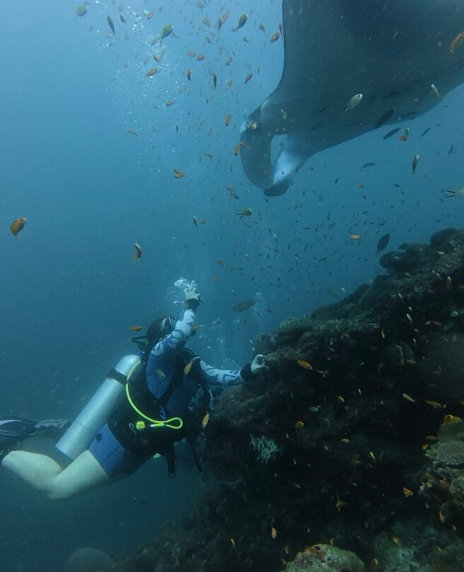 Fehi Velaa Dive-Dhonfanu必去景点