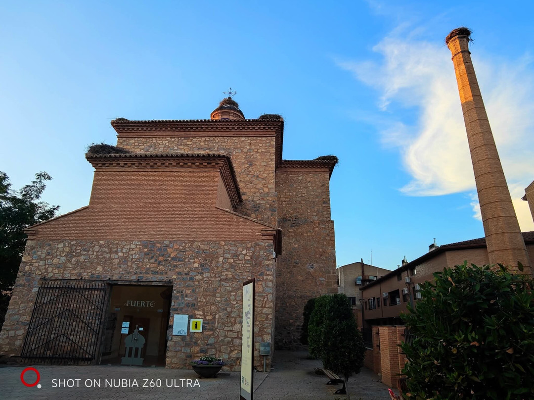 Museo El Fuerte-La Almunia de Dona Godina必去景点