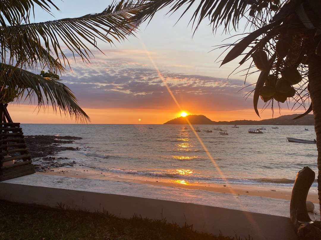 Love Bubble Social Diving-诺西贝必去景点