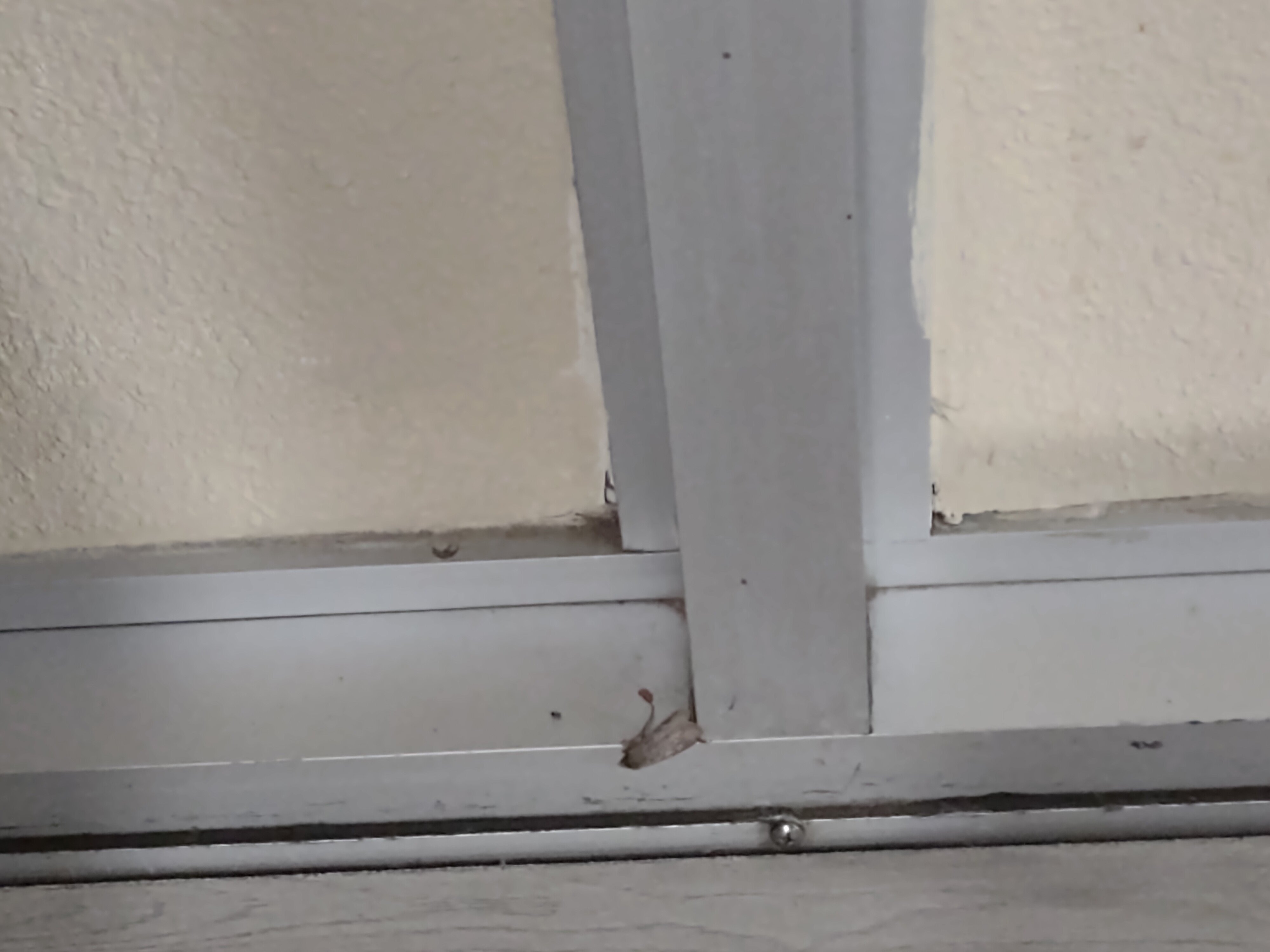 法明顿美国最有价值旅馆-官方