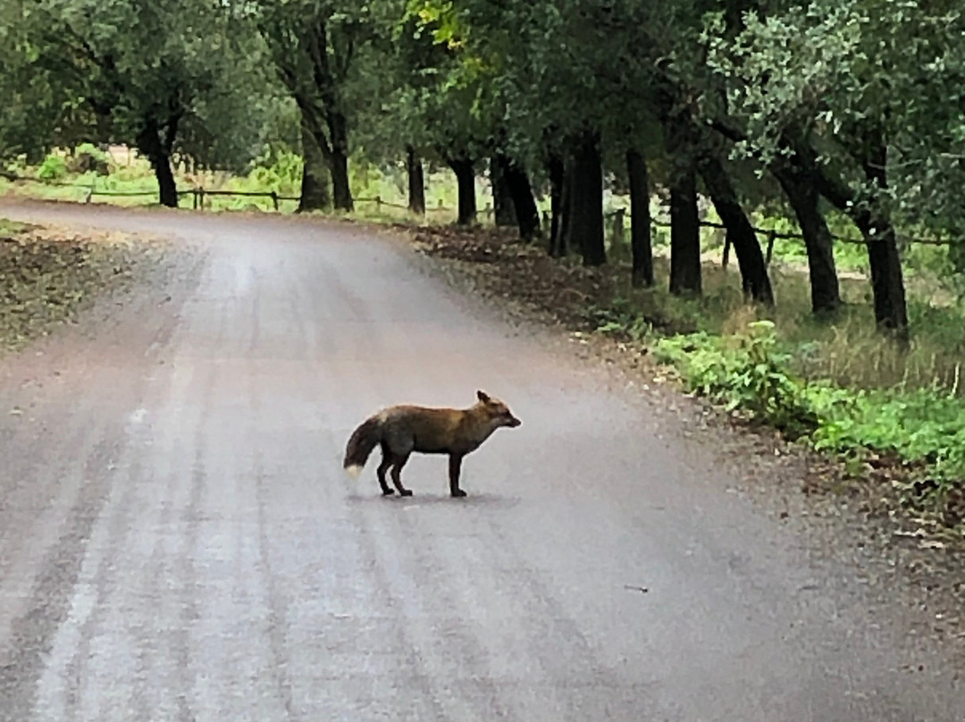 Smile & Ride-比萨必去景点