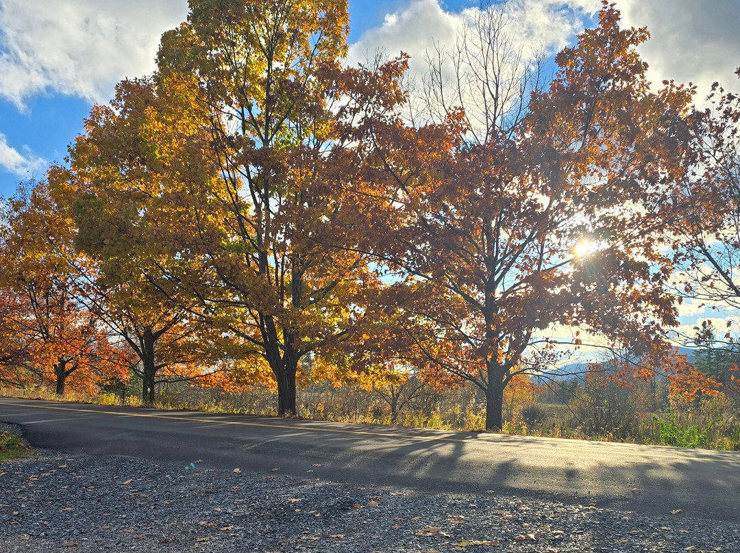 The Inn at Round Barn Farm主图