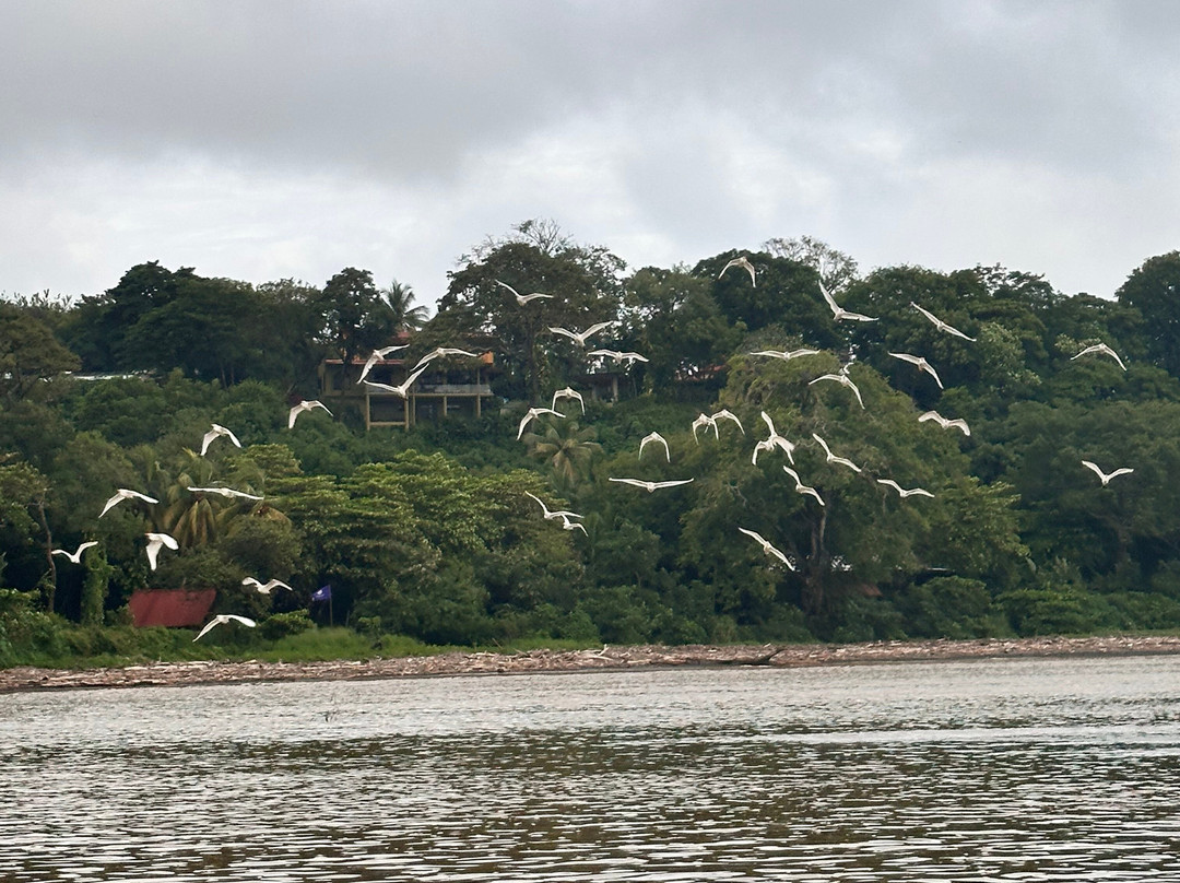 Nature Tours Gabriela-诺萨拉必去景点