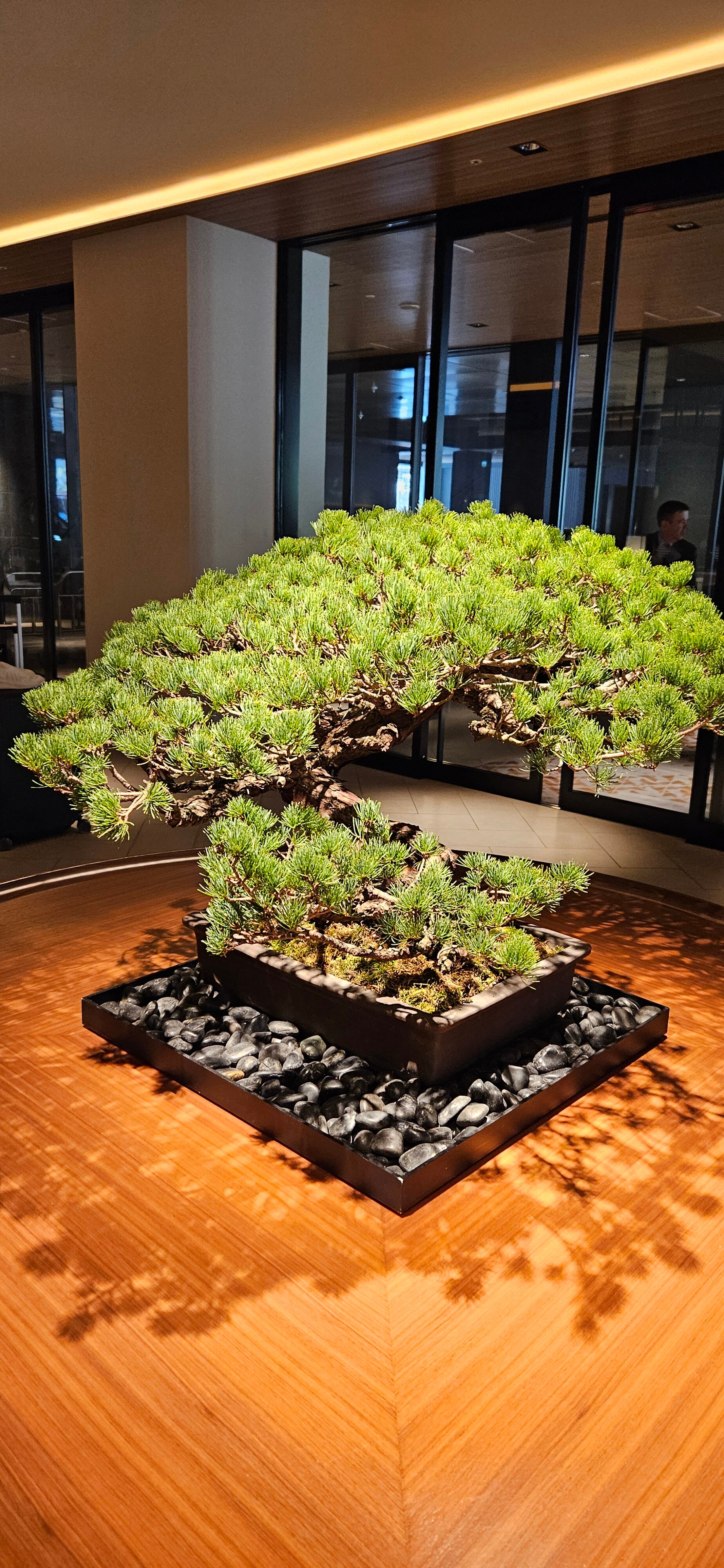 Hilton Hiroshima-浴室