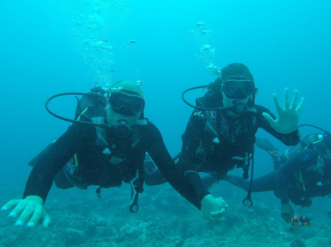 Dive Passion Mauritius-卓得多斯必去景点