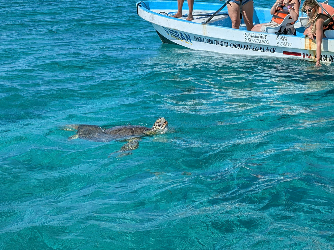 Blue Caribe-艾库玛尔必去景点