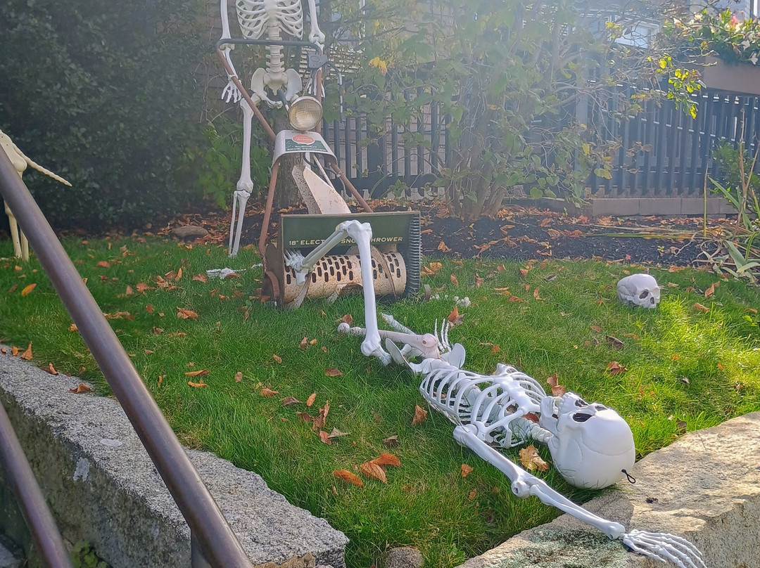 Sea Rose Suites主图