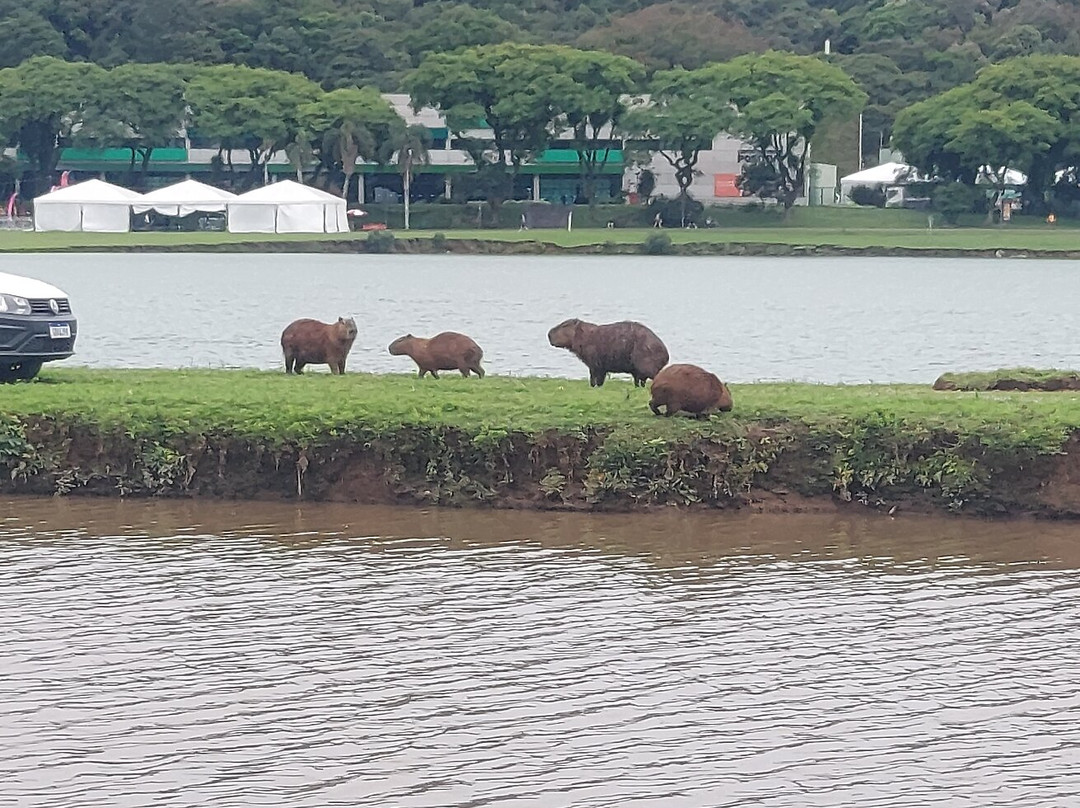 巴立吉公园-库里提巴必去景点