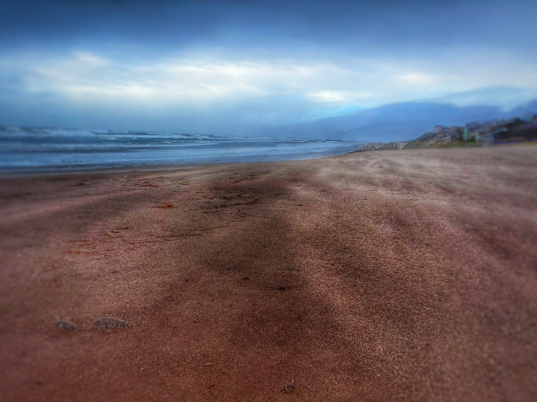 Shearwater Inn主图