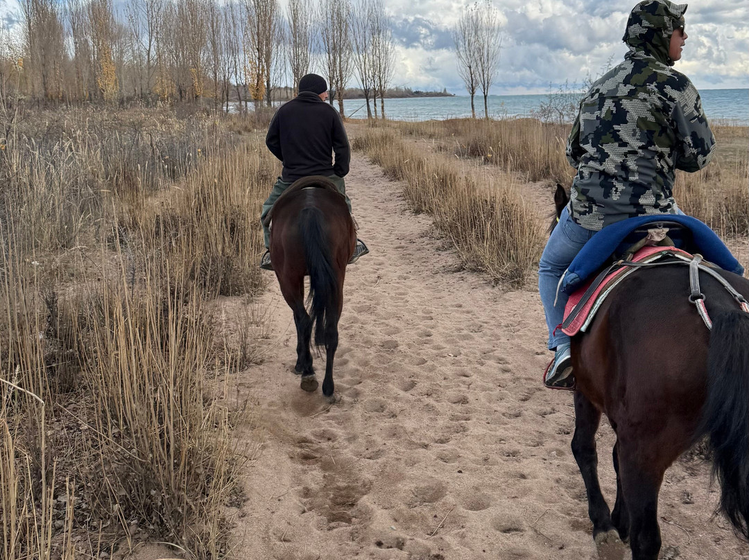 Nomads Yurt-比斯凯克必去景点