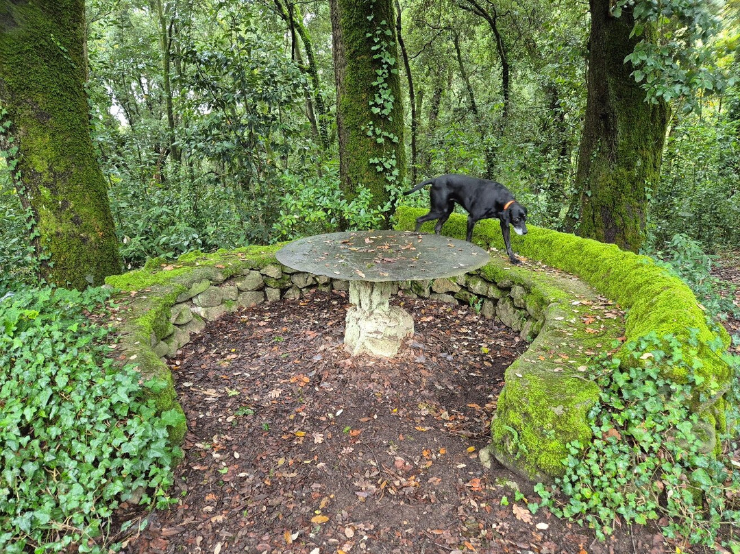 Parco del Castello di Sammezzano-Leccio必去景点
