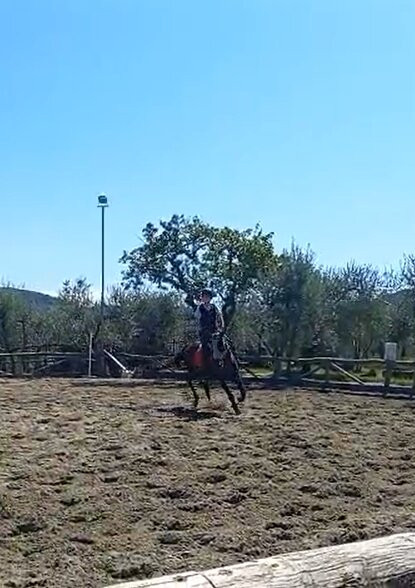 Fattoria Didattica Il Rospetto-巴尼奥阿里波利必去景点