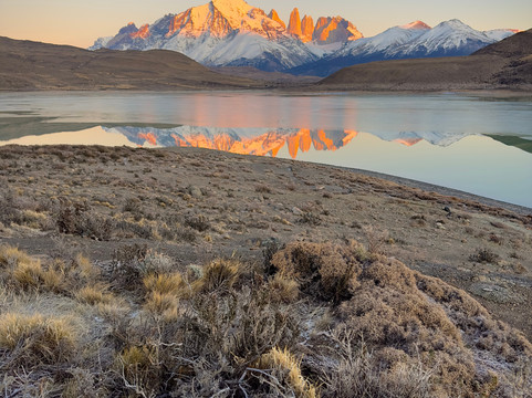 Neotropical Nature & Birding Trips-基多必去景点