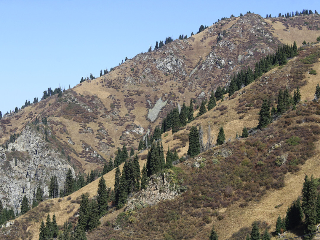 Ile-Alatau National Park-阿拉木图必去景点