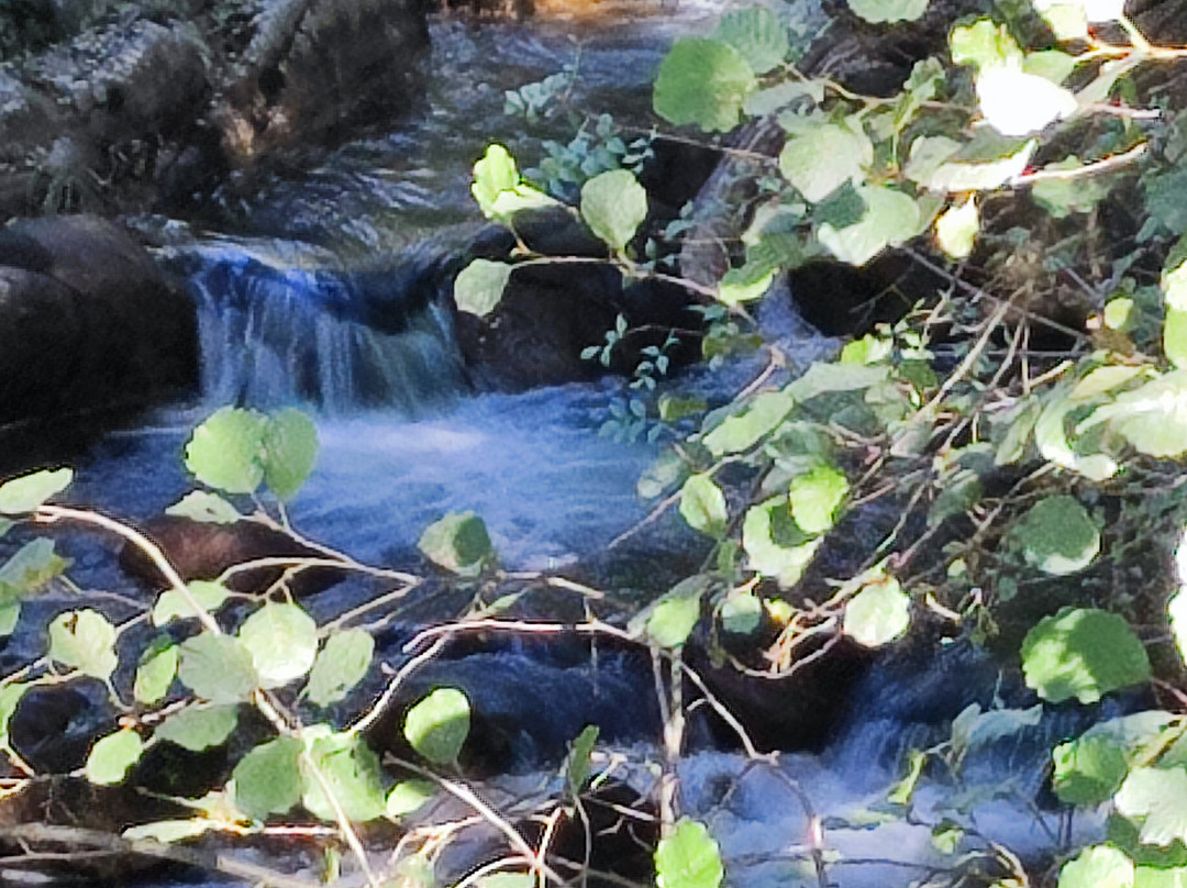 Casa Rural Parada Real主图