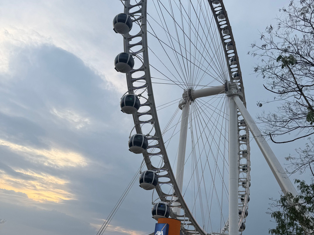 Roda Rico São Paulo-圣保罗必去景点