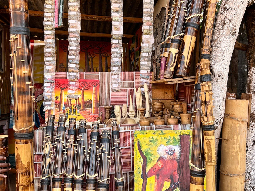 Faniry Madagascar Tours-安塔那那利佛必去景点