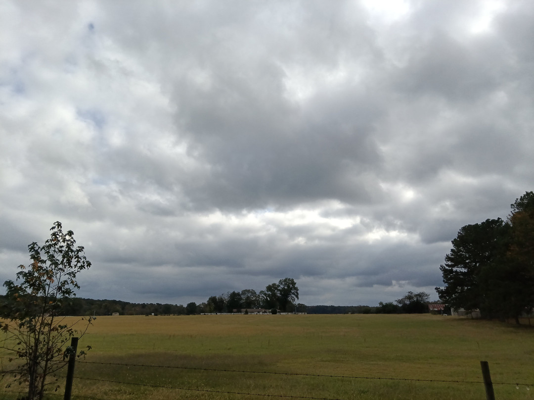 Diamond Oaks Inn Bed and Breakfast主图