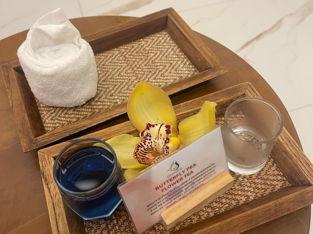 Spa Cenvaree-迪拜必去景点