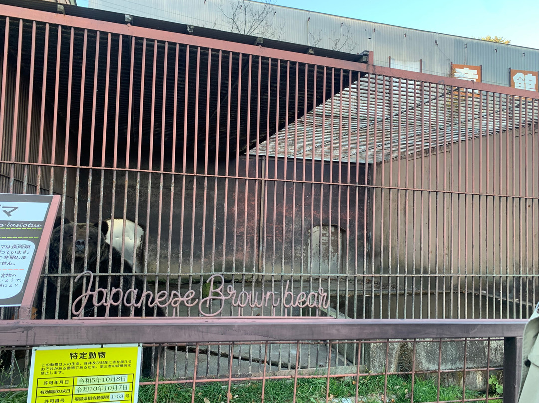 Tohoku Safari Park-二松本市必去景点