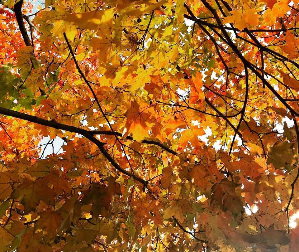 Burke Lake Park-Fairfax Station必去景点