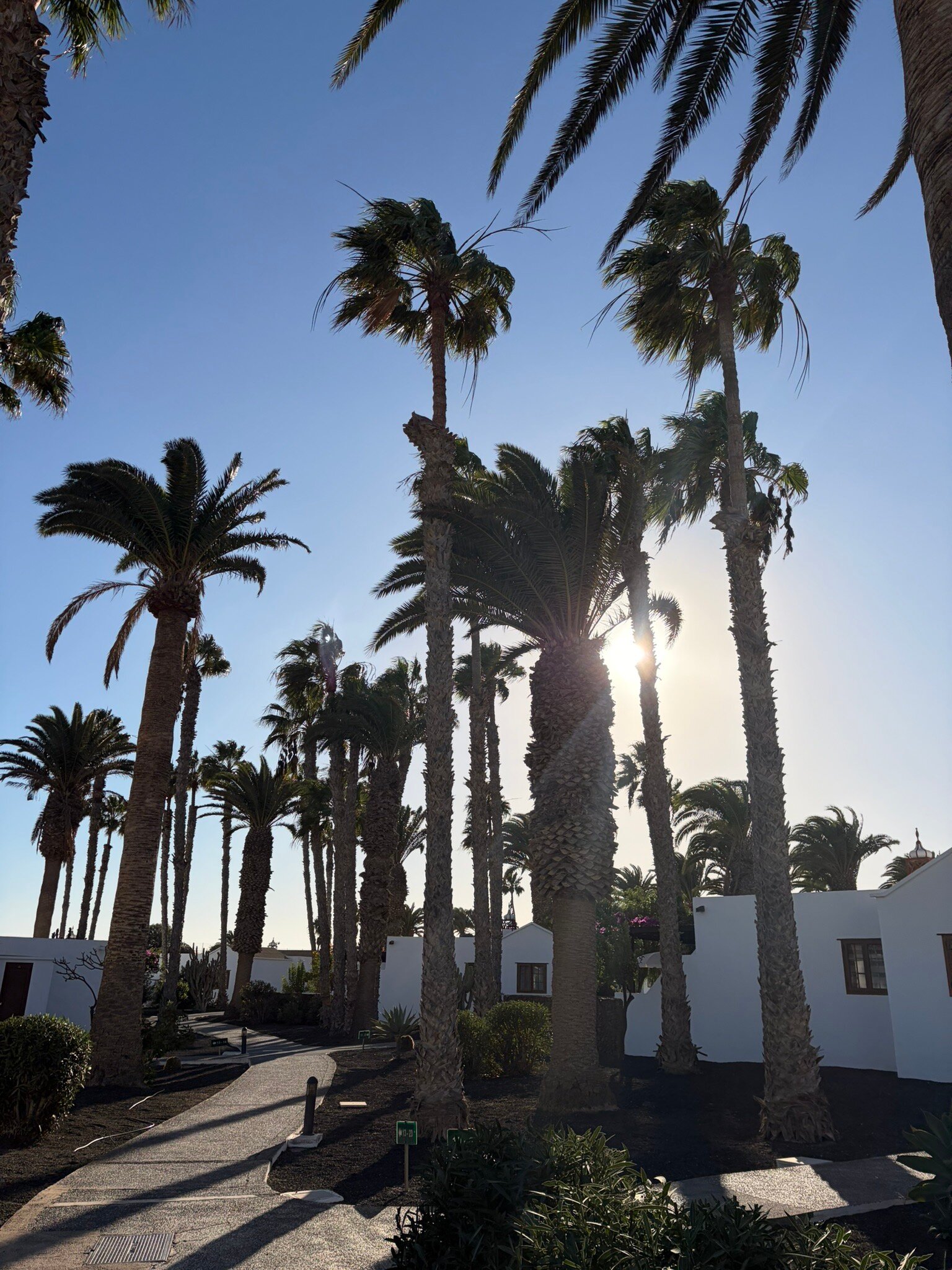 Ona Las Brisas-官方