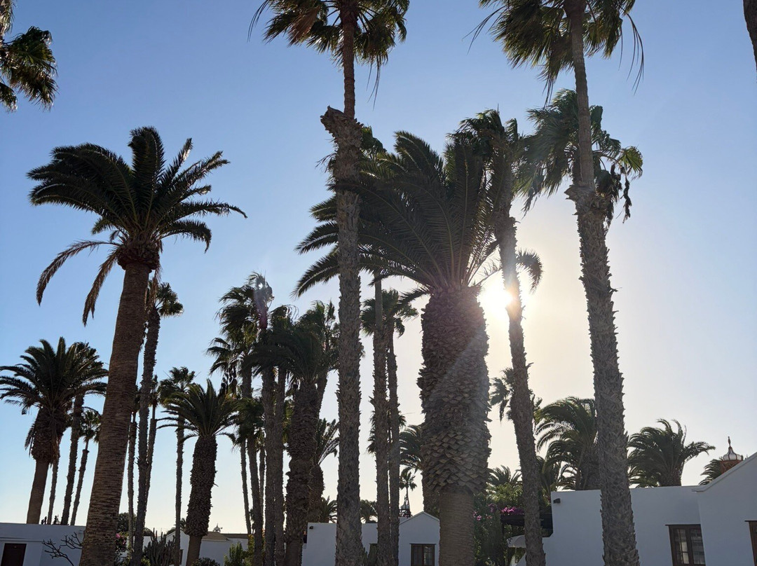 Ona Las Brisas主图