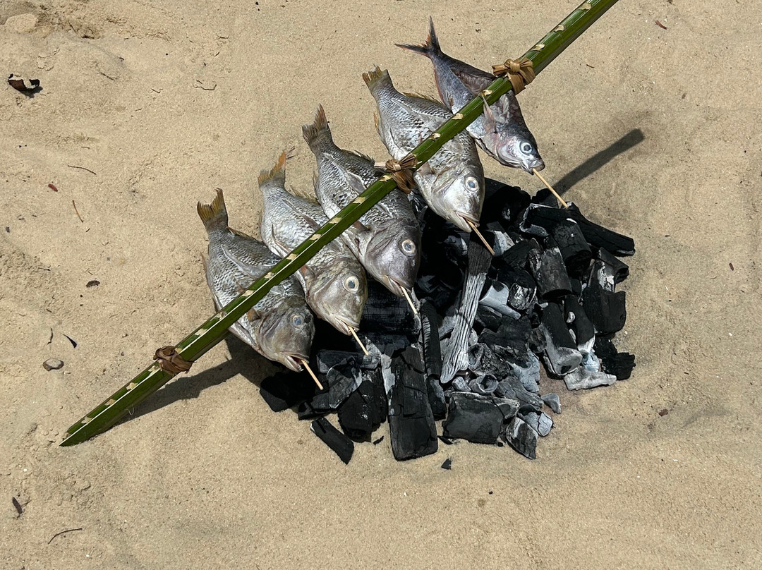 Mafia Whale Shark Tours-Kilindoni必去景点